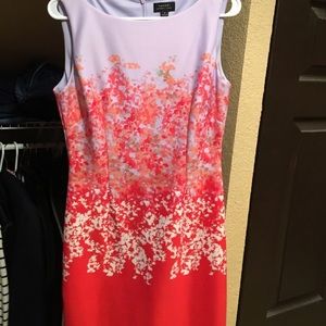 Tahari Size 6 Dress